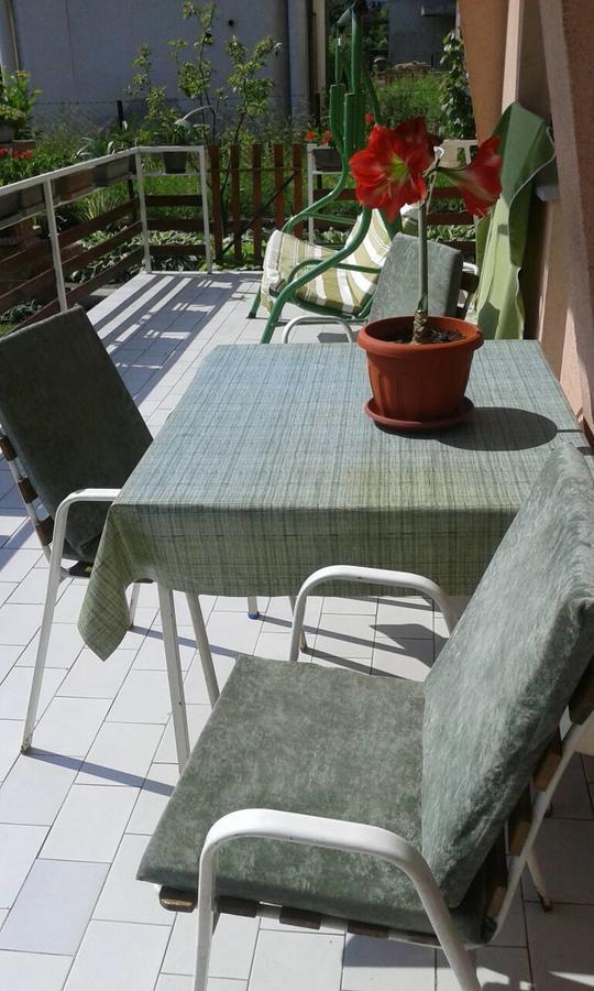 Apartman Andelina Vrnjačka Banja Exteriér fotografie