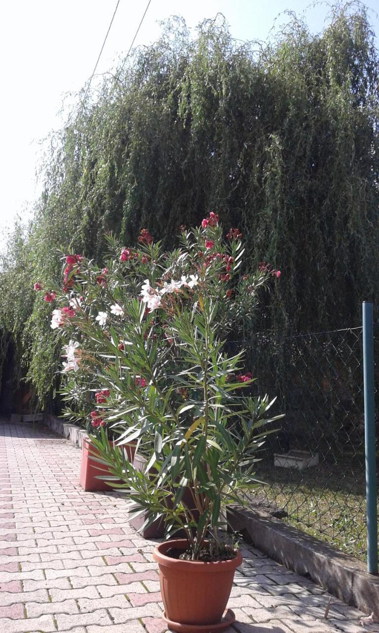 Apartman Andelina Vrnjačka Banja Exteriér fotografie