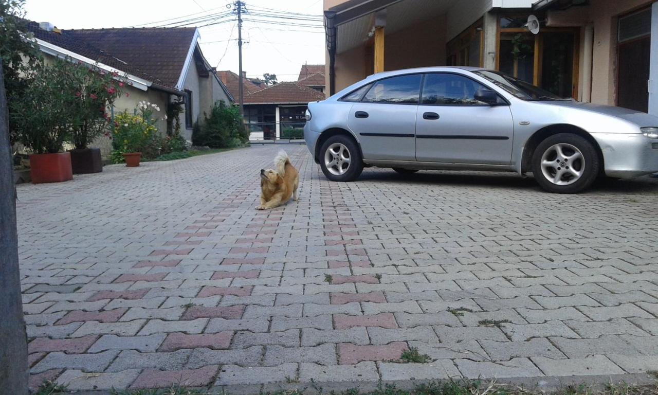 Apartman Andelina Vrnjačka Banja Exteriér fotografie